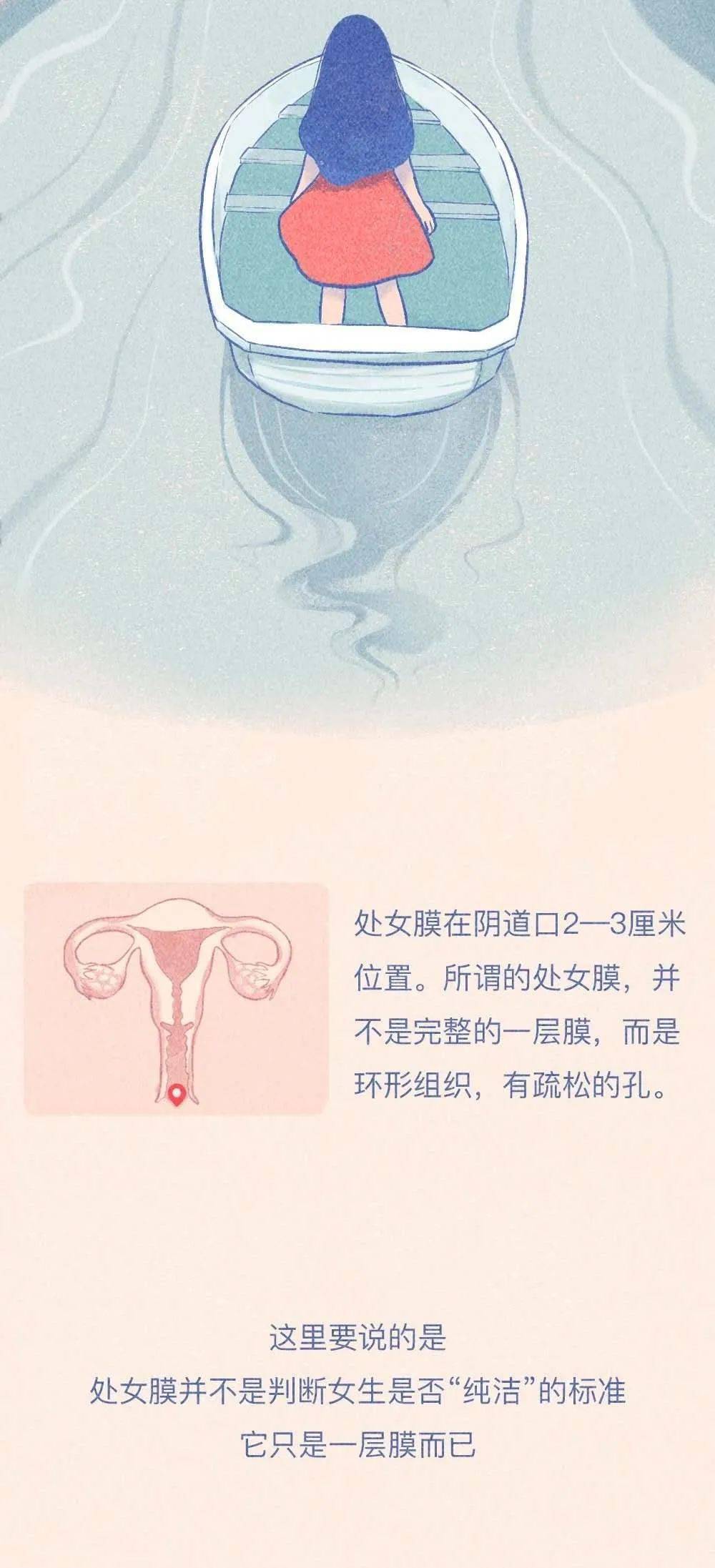 女生阴道口图片的简单介绍