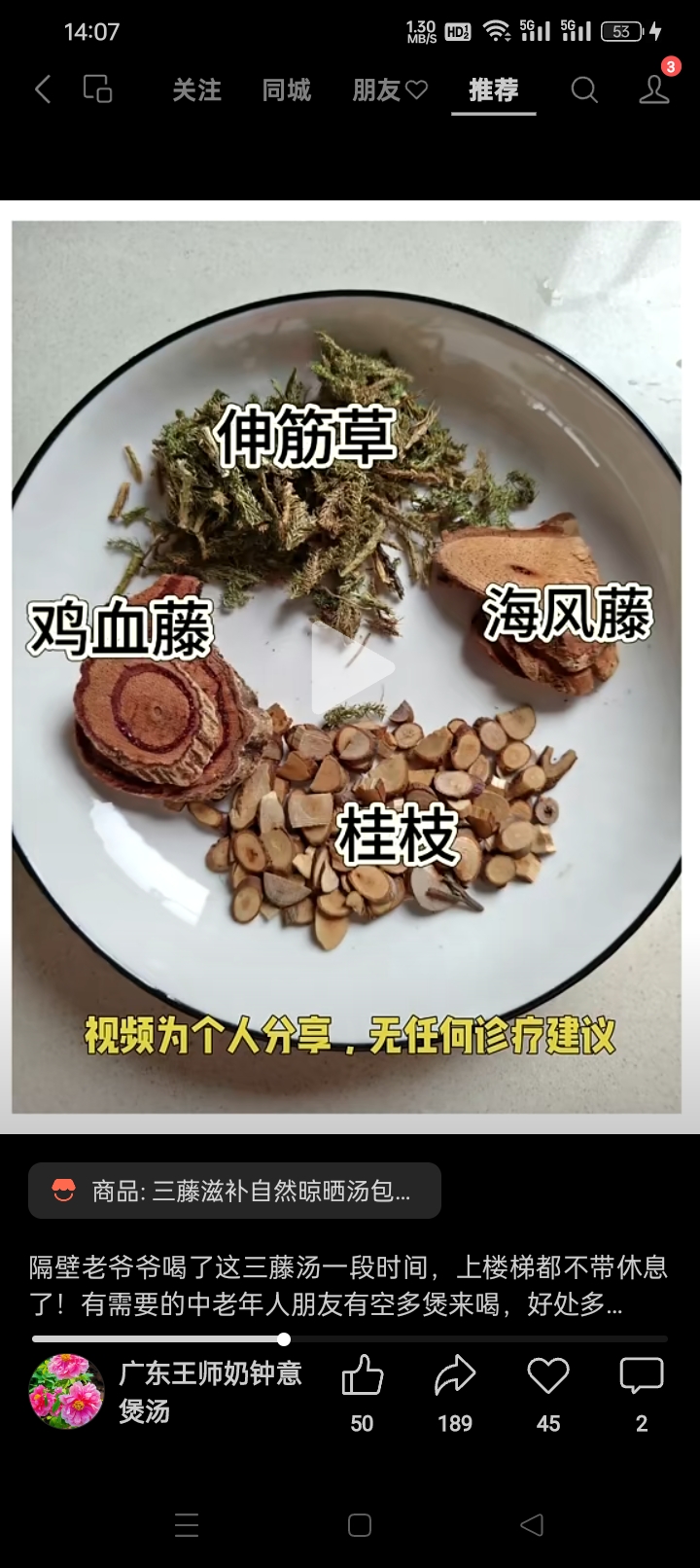 追风伞的功效与作用(追风伞的功效与作用图片)