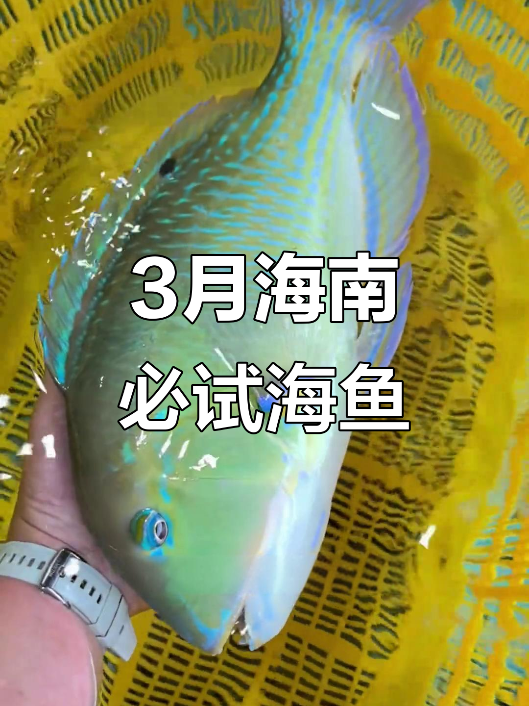海鱼图片(广东常见的海鱼图片)