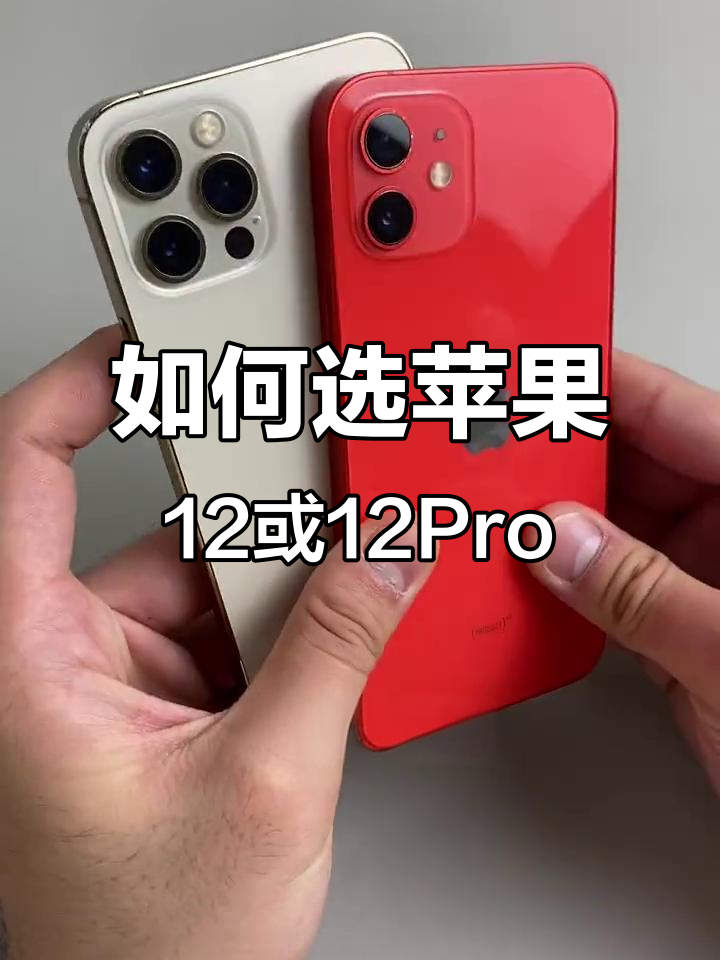 苹果13pro和12pro建议买哪个(苹果13 pro和苹果12 pro哪个好)