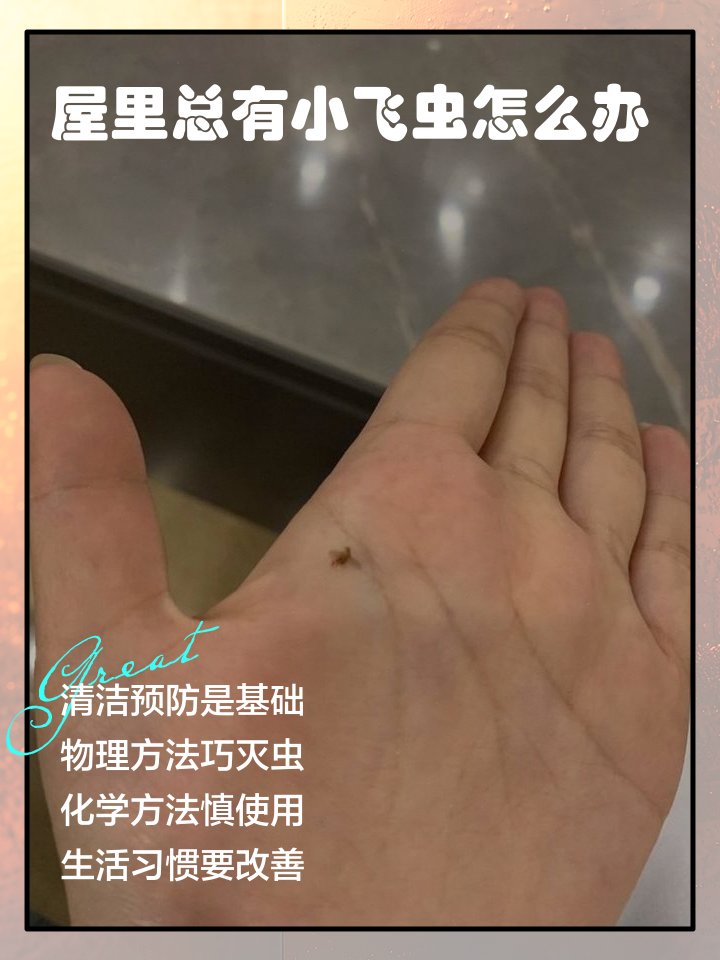家里有小飞虫怎么样才能彻底去除(家里有小飞虫怎么样才能彻底去除厨房柜子生虫怎么处理)