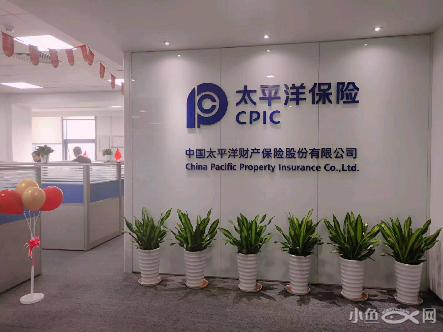 厦门小鱼网个人招聘(厦门小鱼网兼职招聘信息)
