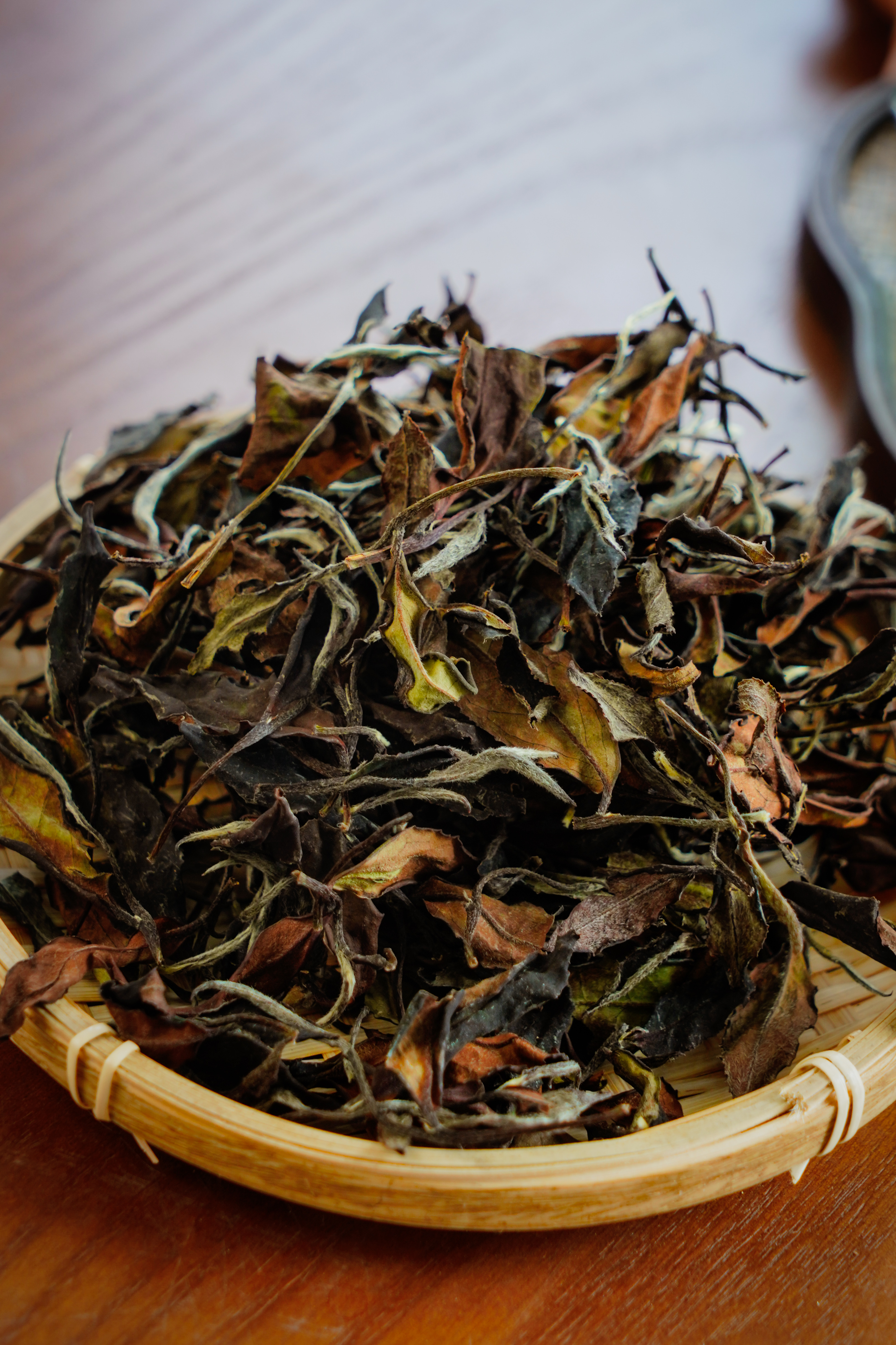 刮风寨古树茶的特点(刮风寨古树茶的特点属于冰岛吗) 刮风寨古树茶的特点(刮风寨古树茶的特点属于冰岛吗)