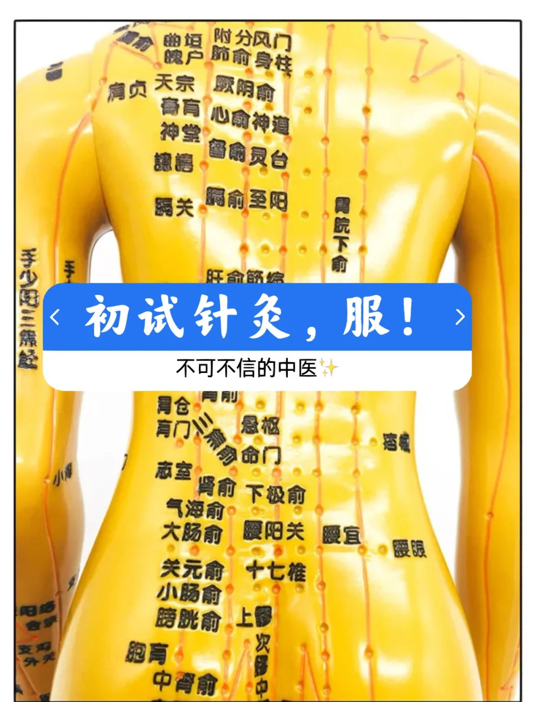 束骨的准确位置图作用功效(束骨的准确位置图作用功效金门)
