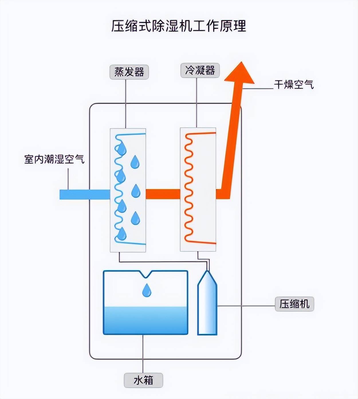 除湿袋是什么原理(除湿袋是什么原理制成的) 除湿袋是什么原理(除湿袋是什么原理制成的)