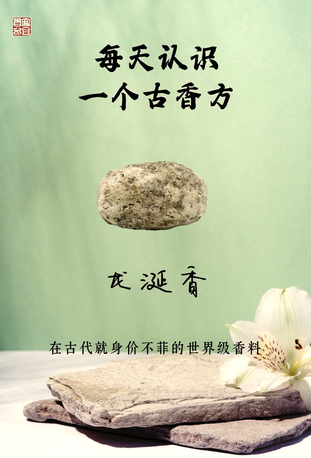 控涎丹的功效与作用(控涎丹的功效与作用及副作用)