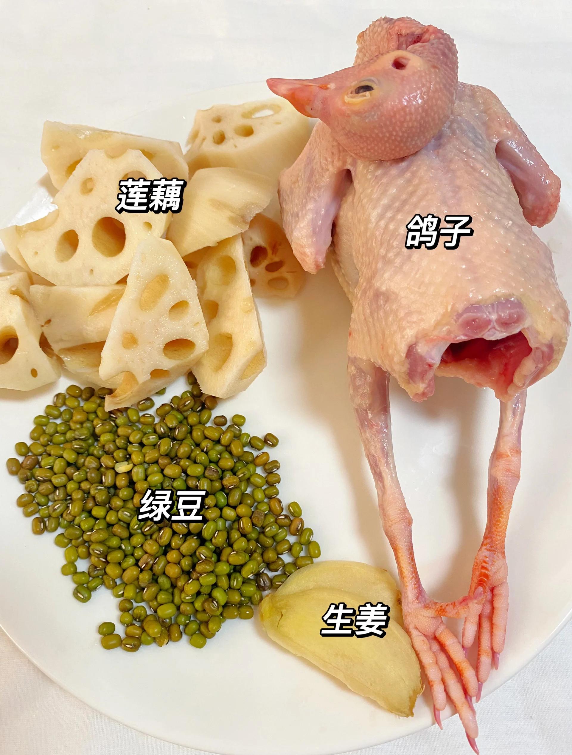乳鸽绿豆汤的做法与功效(乳鸽绿豆汤的做法与功效与作用)