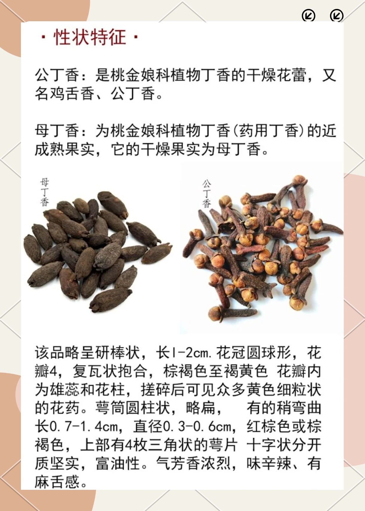 三奈香料的作用(三奈香料的作用是什么?炖肉时怎么用才能去腥味又提香?)
