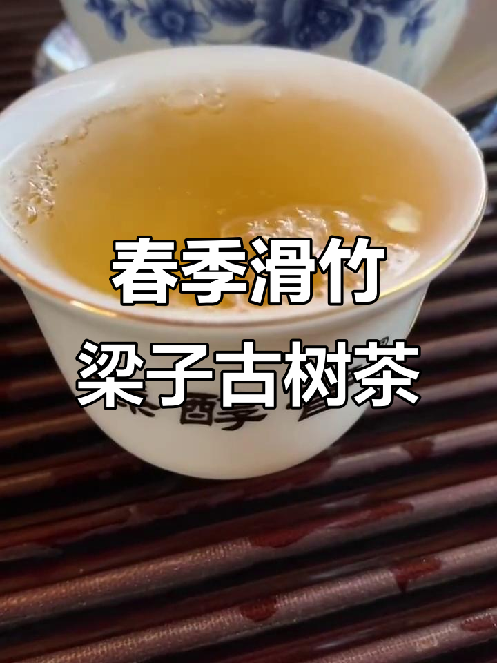 滑竹梁子古树茶口感特点(滑竹梁子古树茶特点百度百科)