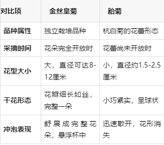 胎菊好还是金丝皇菊好?(女人喝胎菊好还是金丝菊好)