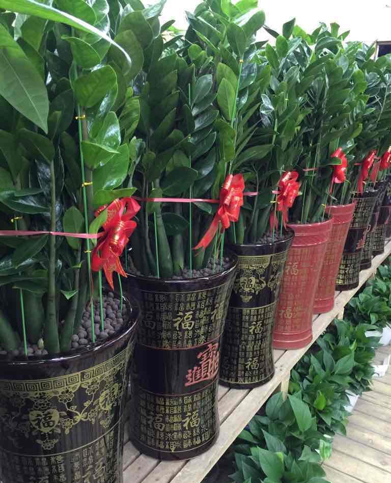 步步高股票股吧(步步高股票股吧同花顺)