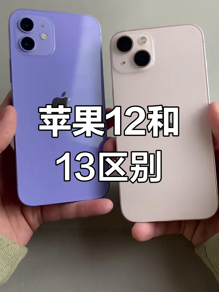 苹果se3和苹果12哪个好(苹果se3和苹果12哪个好一点)