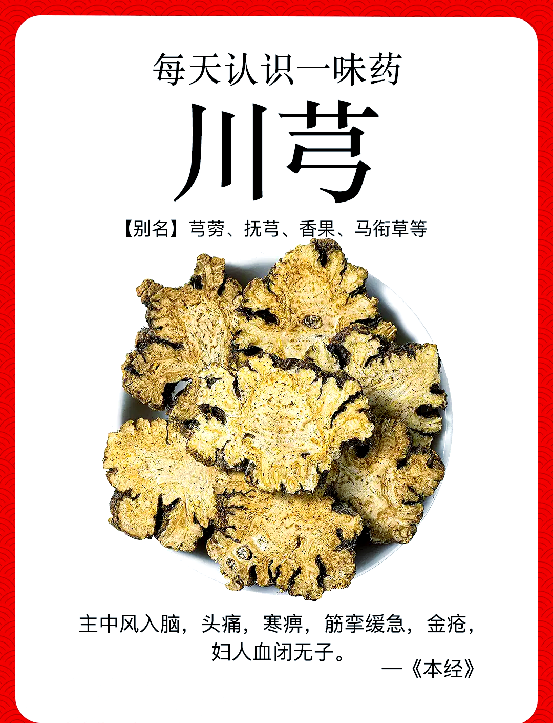 酒川芎的功效与作用(中药酒川芎的功效与作用) 酒川芎的功效与作用(中药酒川芎的功效与作用)