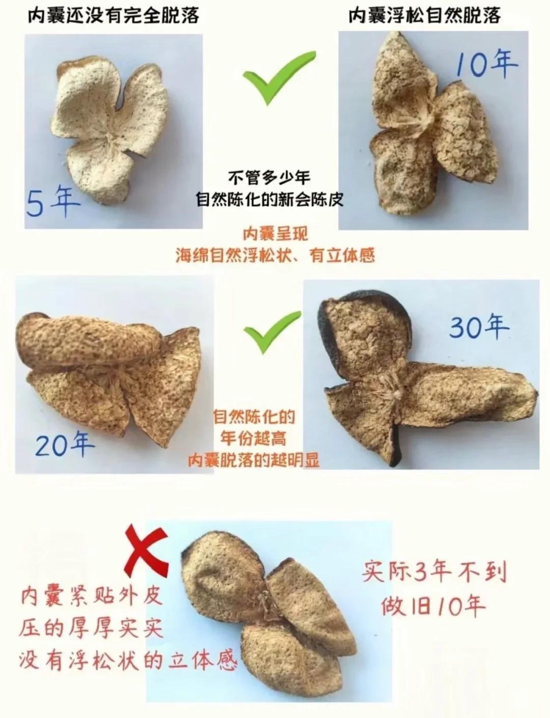 陈皮蒸过和不蒸的区别(陈皮三蒸三晒好还是全生晒好)