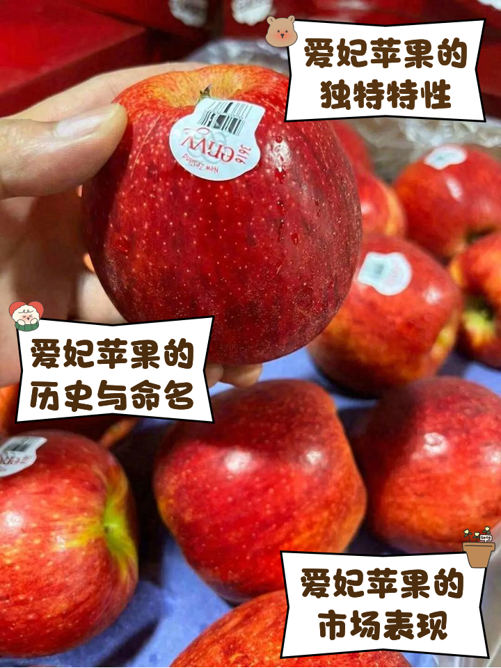 苹果品种大全图片名字(苹果品种有哪些品种图片)