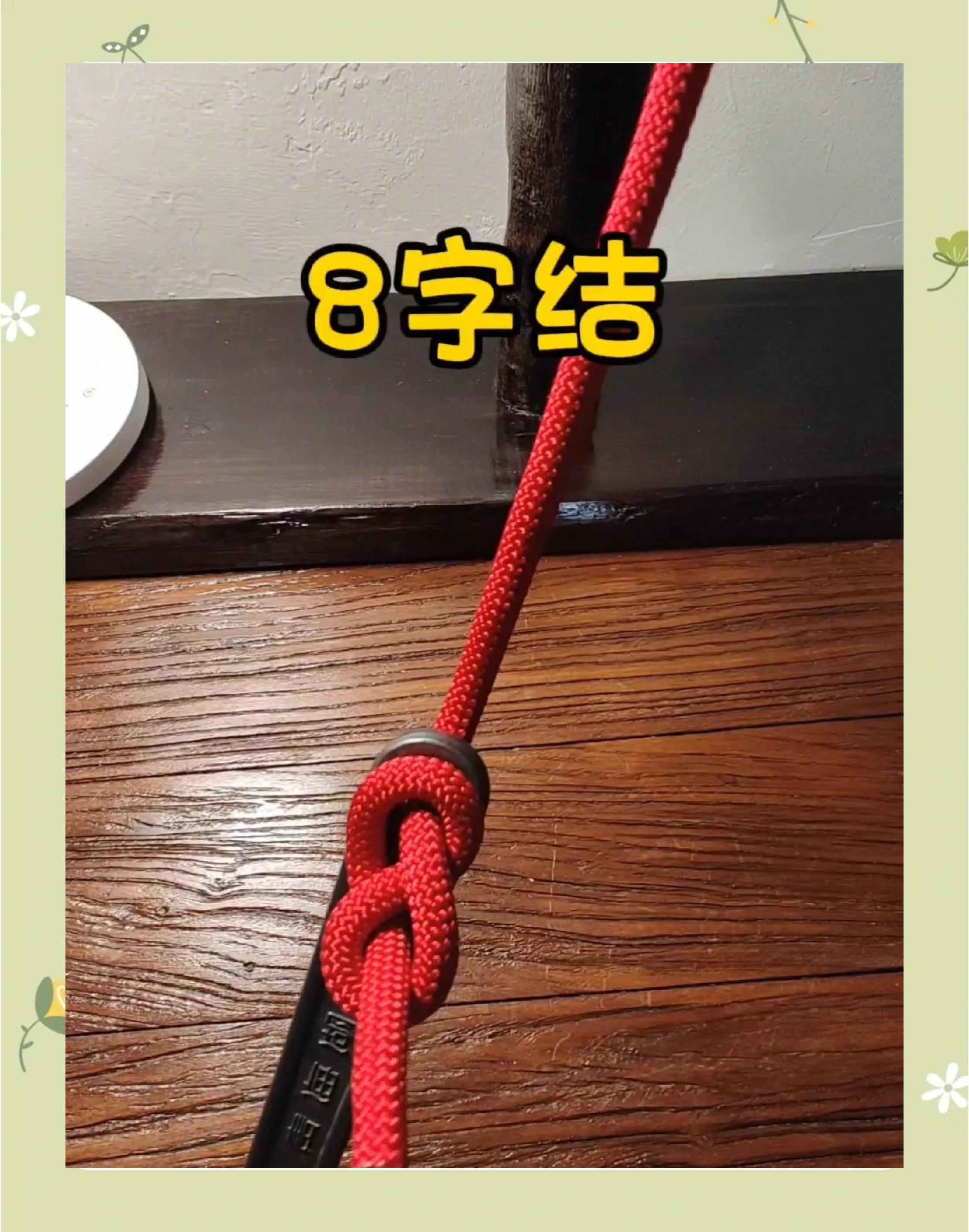 八字扣的绑法图解(八字扣的绑法图解扣)