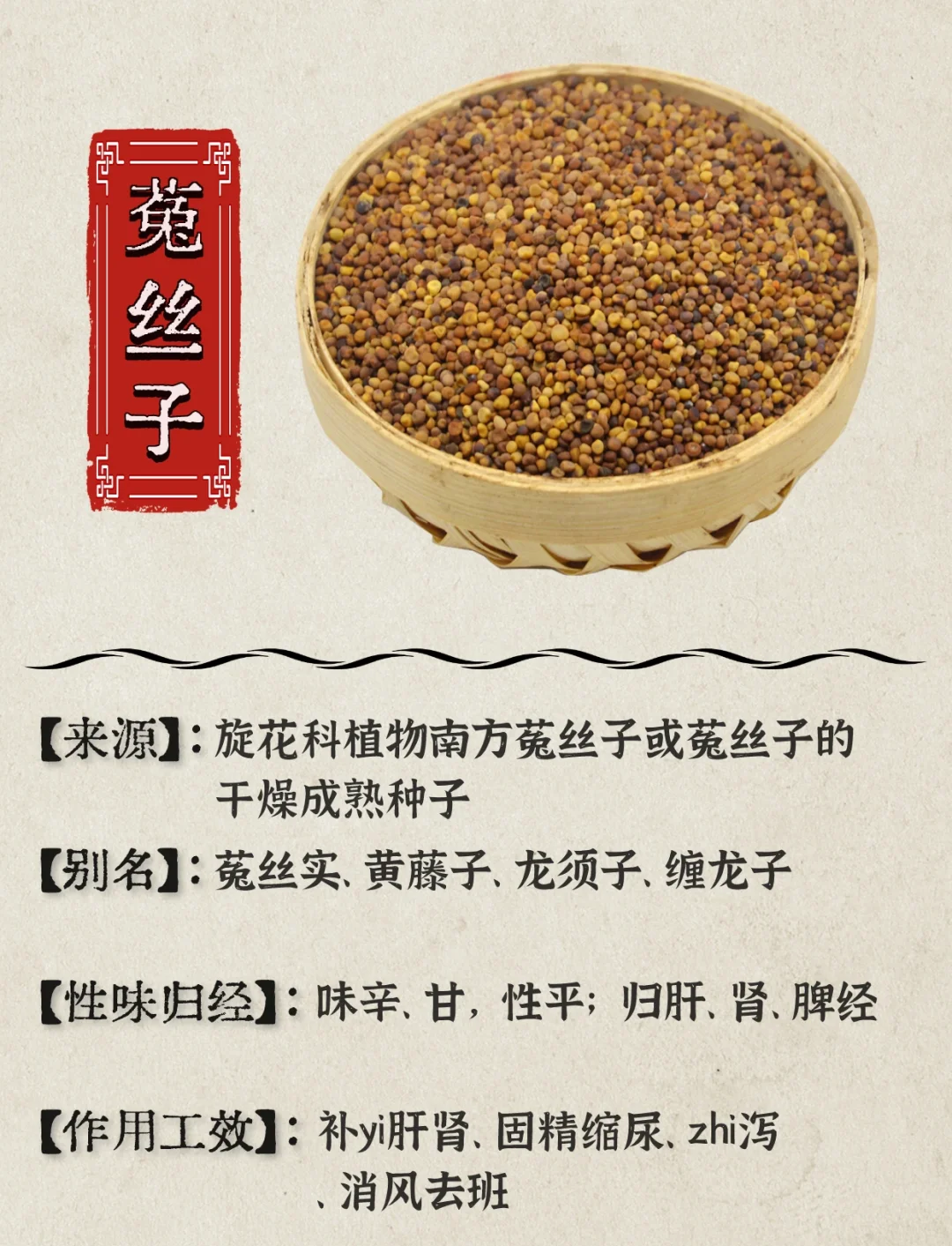 盐菟丝子(盐菟丝子用量)