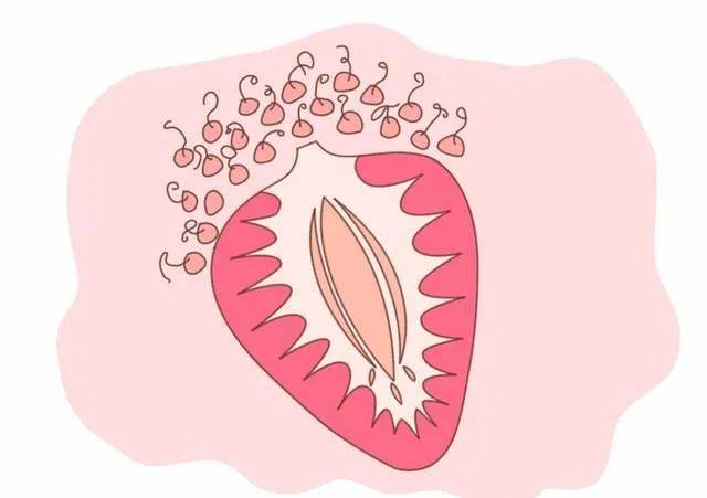 女性生殖部位高清图片(女性生殖部位高清图片视频)