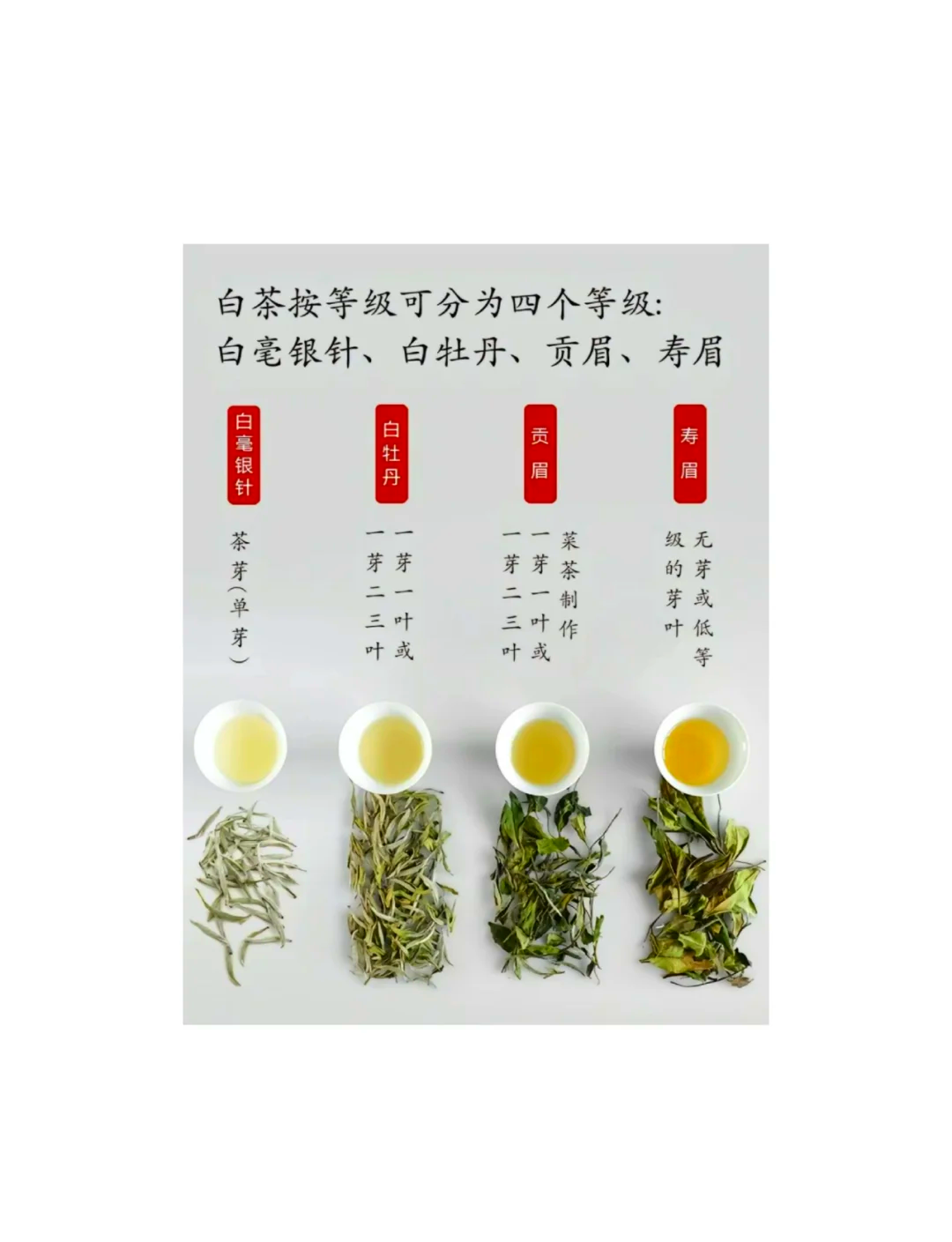 白茶存放多长时间最好(白茶存放多久就不能喝了)