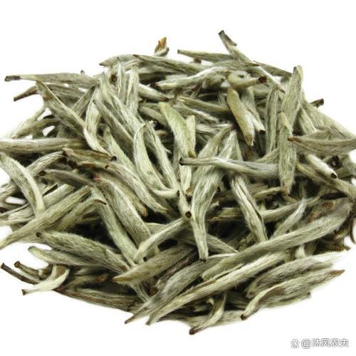 白茶存放多长时间最好(白茶存放多久就不能喝了)