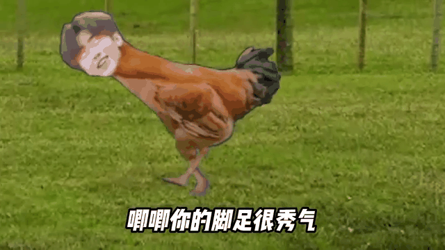 几你太美(鸡你太美是什么意思)