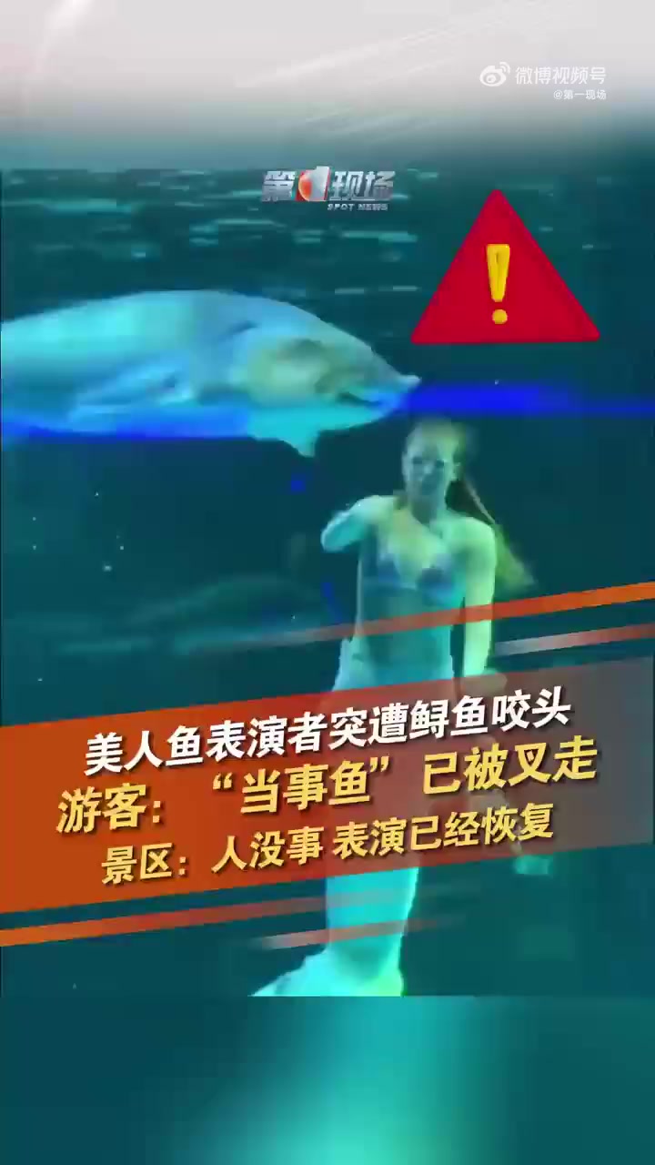 女子下河摸鱼时被咬半身失去知觉(女子下河摸鱼时被咬半身失去知觉视频)