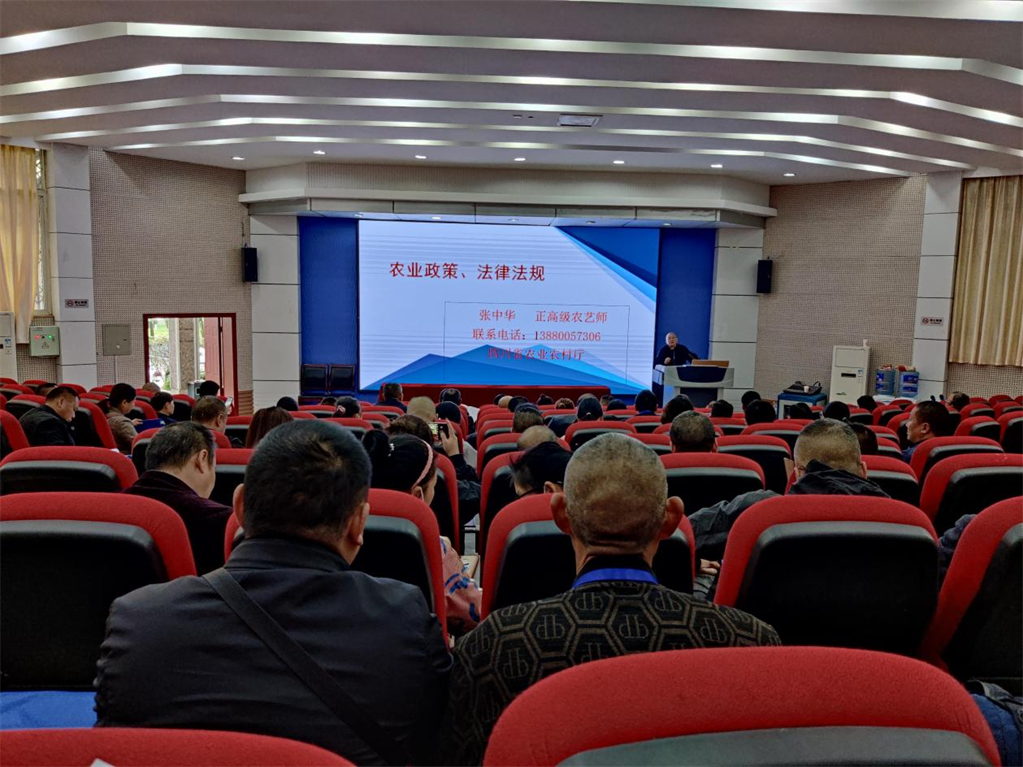 大邑县人才网(大邑人才网手机版)