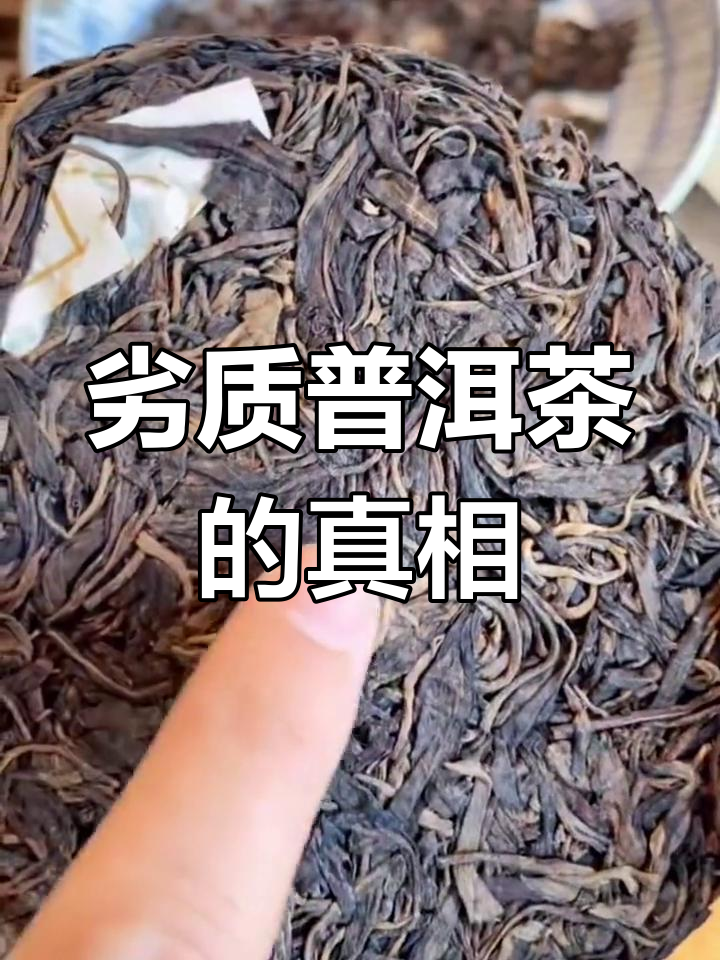普洱茶发霉了还能喝吗(普洱茶发霉了还能喝吗百度)