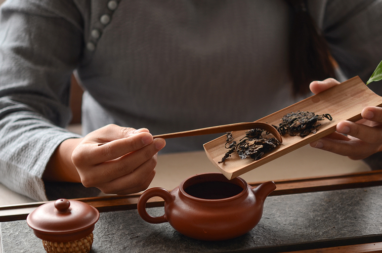 普洱茶怎么泡才正确方法(熟普洱茶怎么泡才正确方法) 普洱茶怎么泡才正确方法(熟普洱茶怎么泡才正确方法)