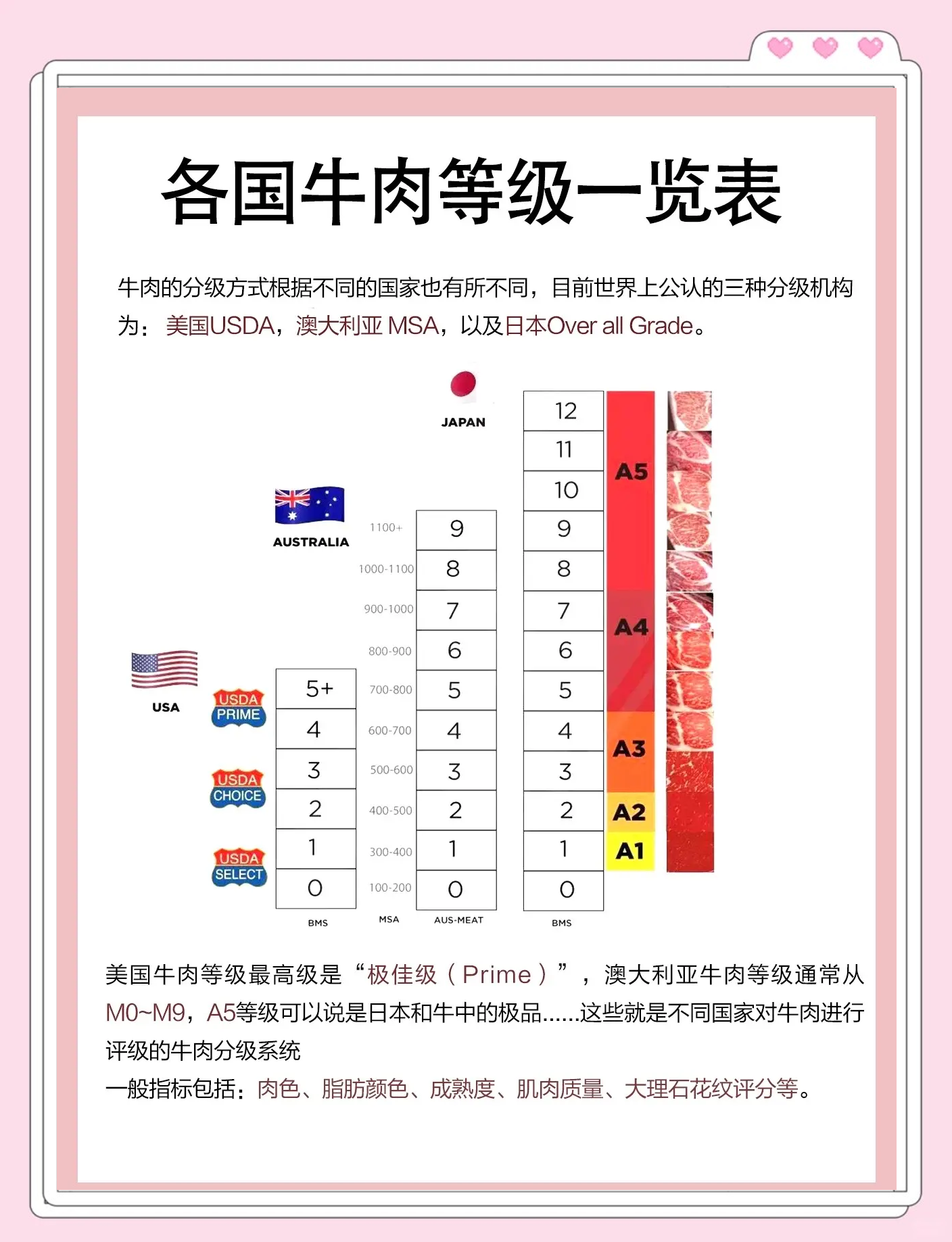 牛肉营养成分表(牛肉营养成分表图)