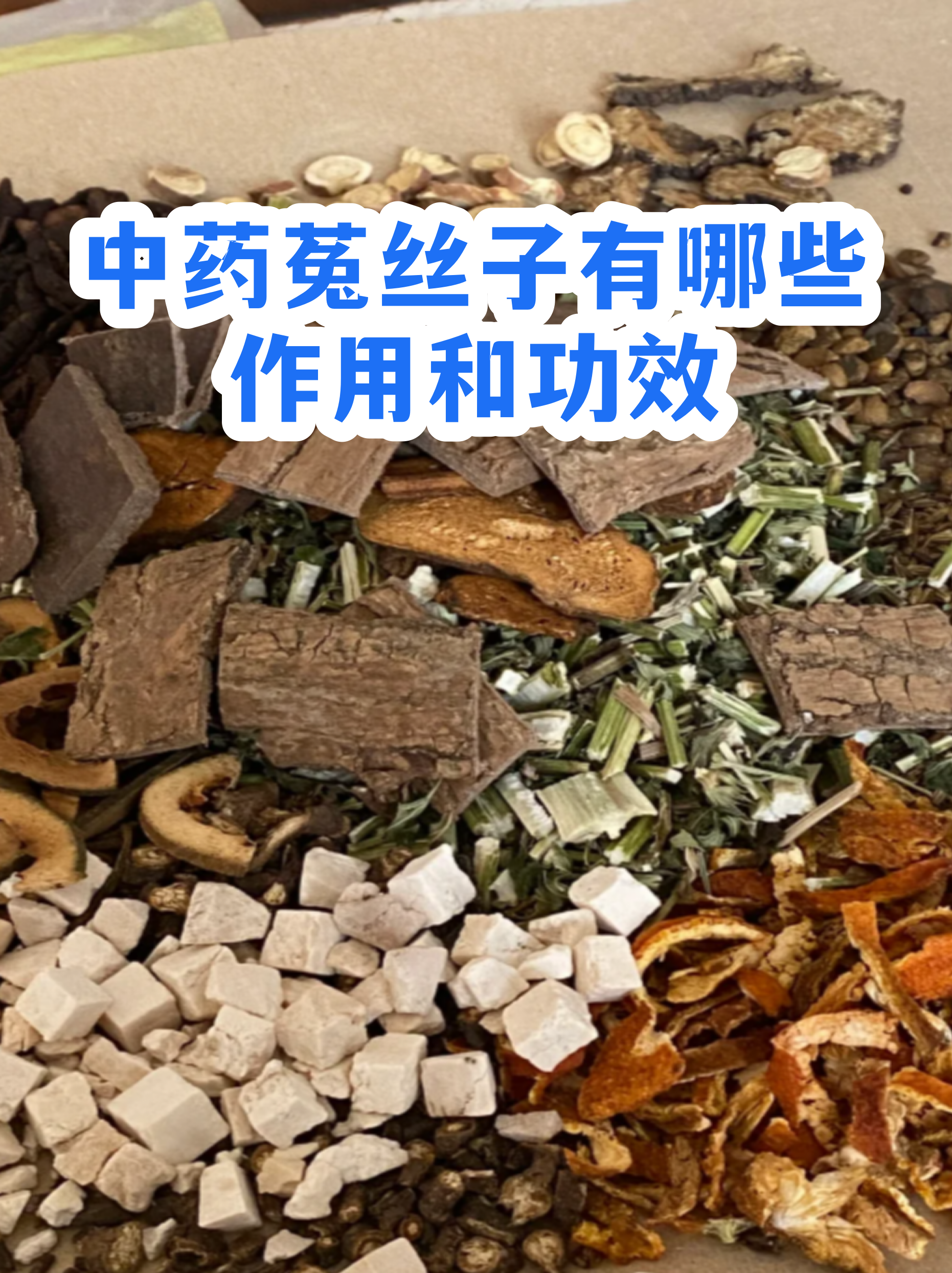 盐菟丝子的功效与作用(盐菟丝子的功效与作用点与作用) 盐菟丝子的功效与作用(盐菟丝子的功效与作用点与作用)