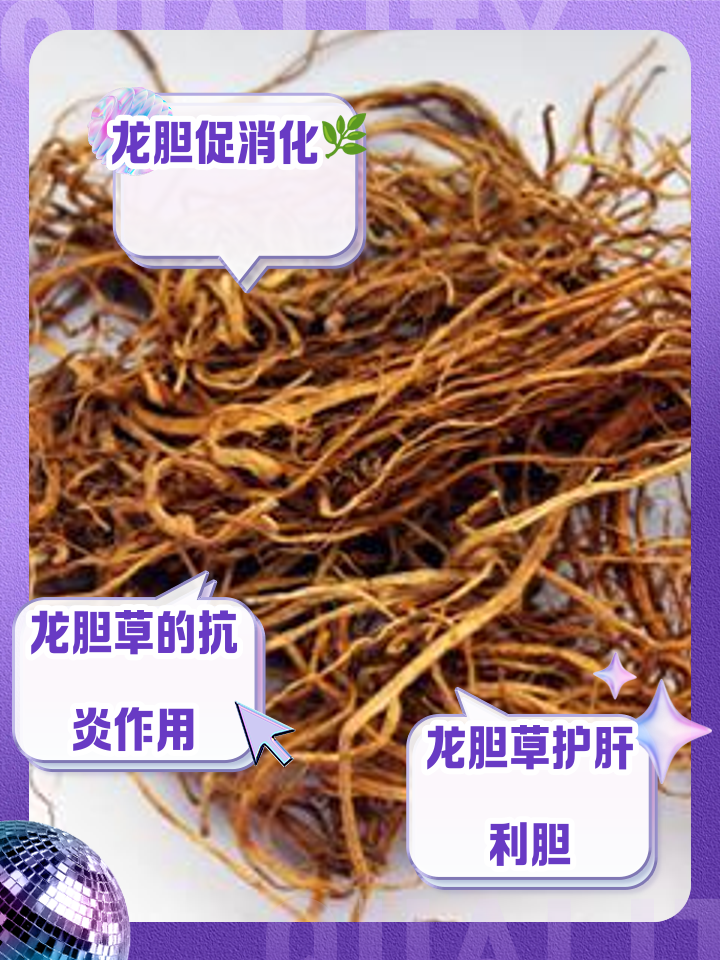 红花龙胆的功效与作用(红花龙胆的功效与作用及禁忌)