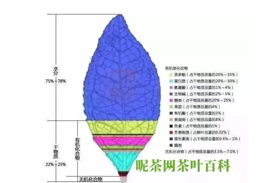 茶里面有没有咖啡的成分(茶里面有没有咖啡的成分含量)
