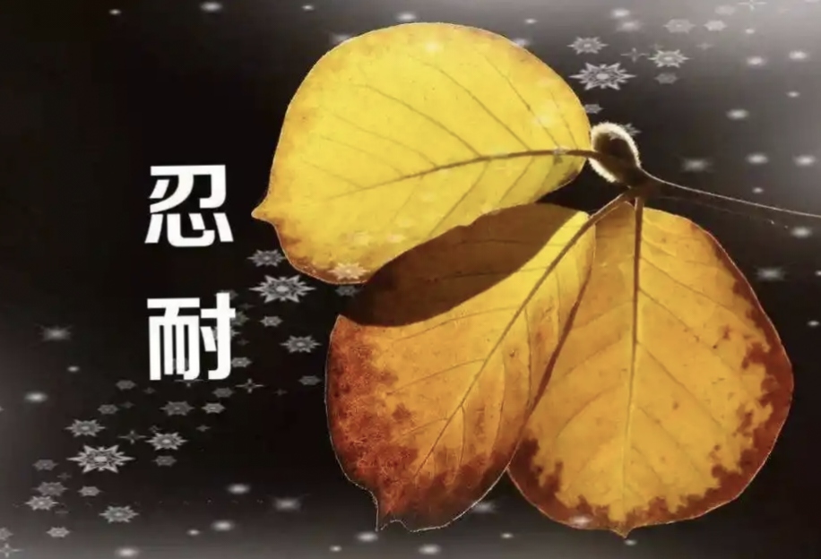 懂一个人也许要忍耐(懂一个人也许要忍耐原唱是谁)