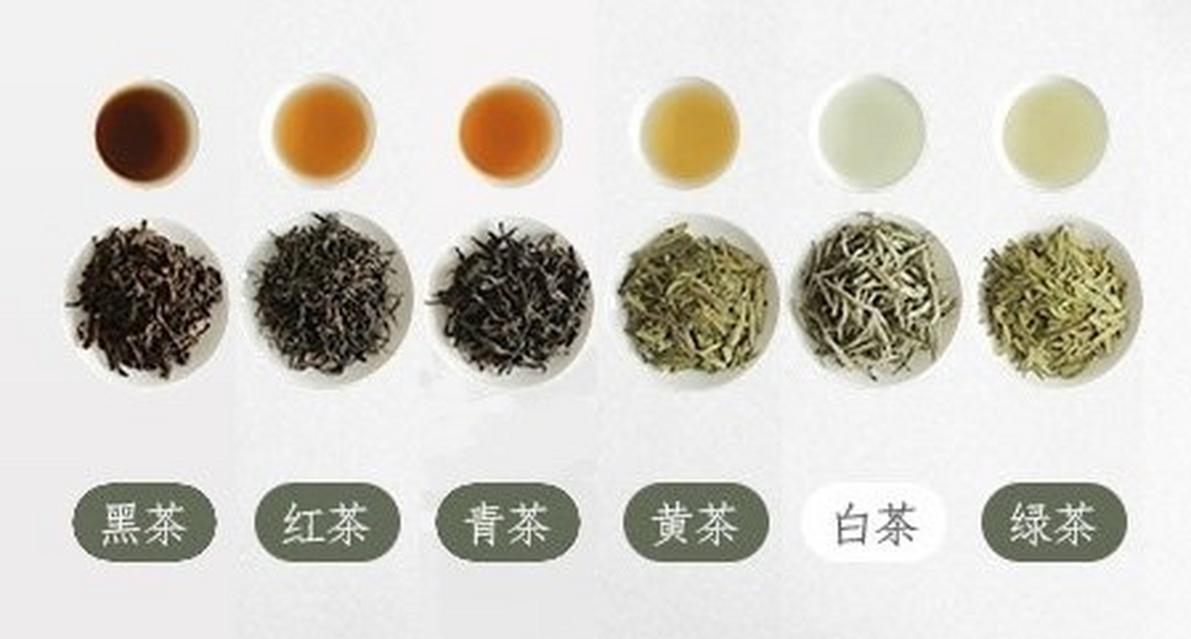 茶叶分类(中国茶叶分类)
