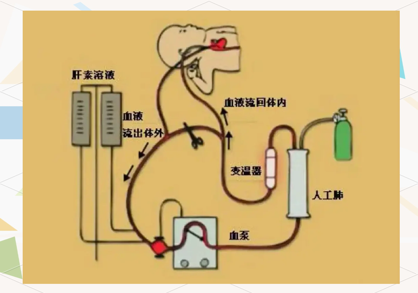 ecm模块是什么意思(ecm模块坏了有什么影响)