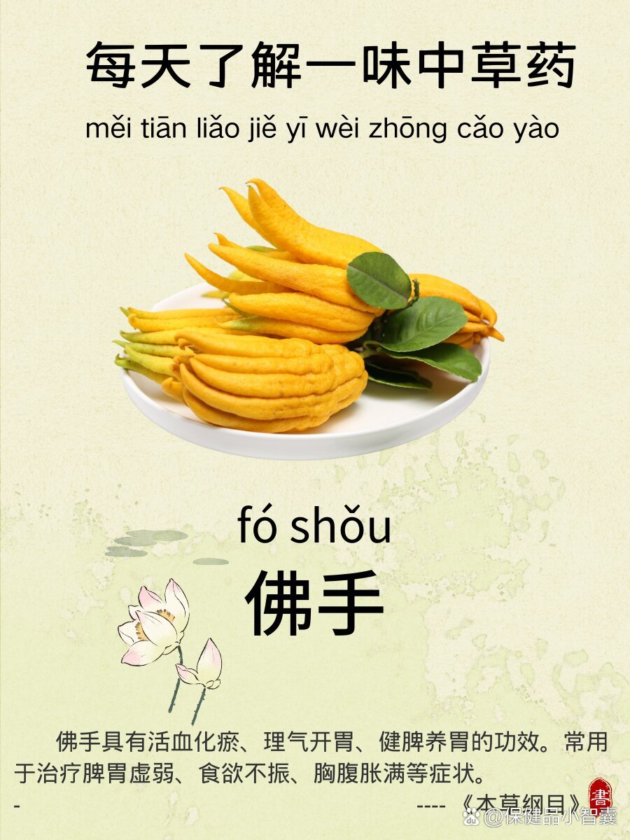 佛指甲的功效与作用(佛指甲是哪种饮片的鉴别特征)