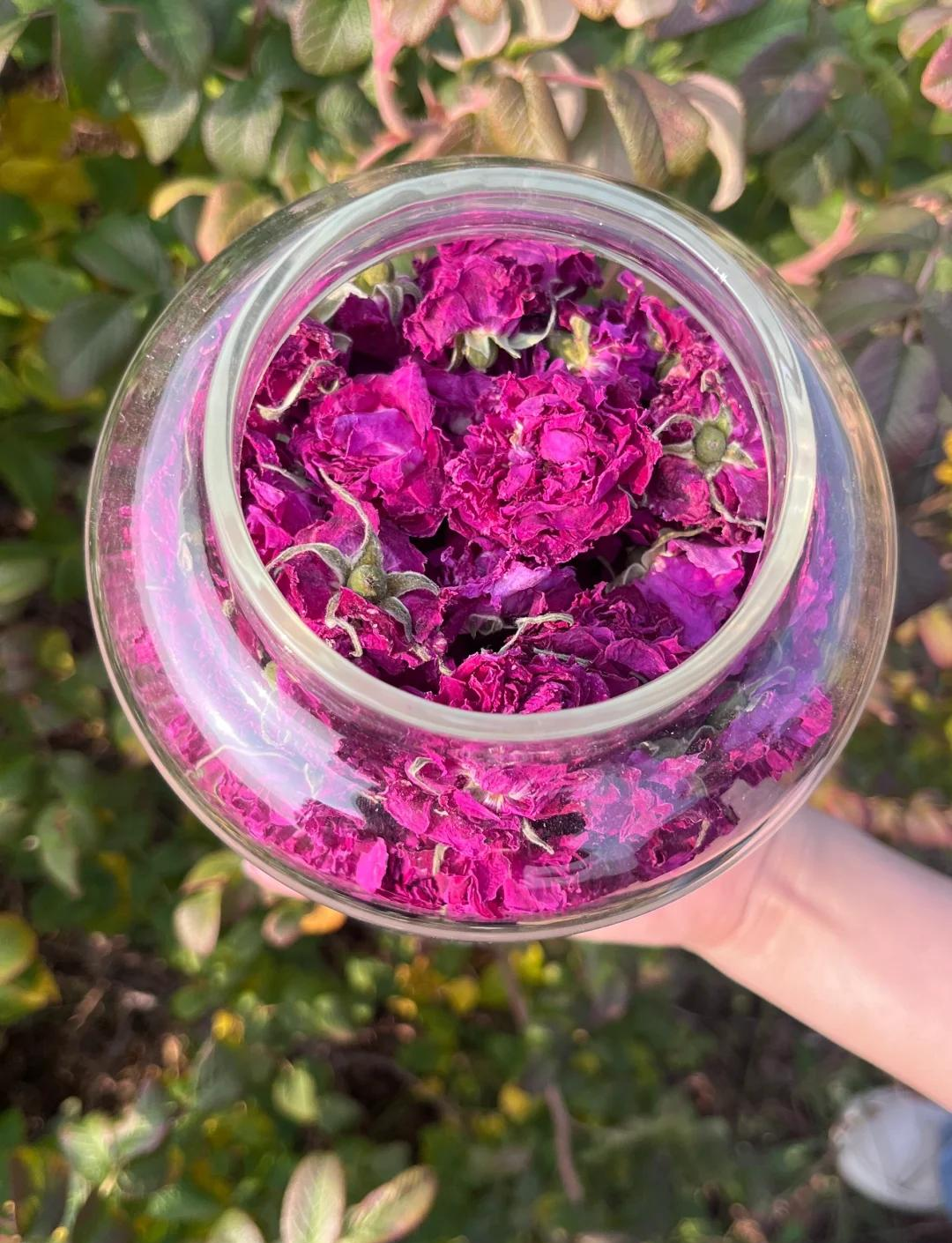 玫瑰花茶和什么泡最好(玫瑰花茶和什么在一起泡最好)