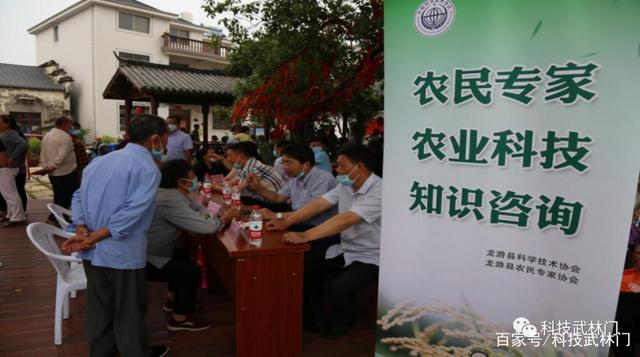 龙游人才网(龙游人才网官网)