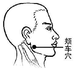 颊车的准确位置图(颊车的准确位置图作用功效)
