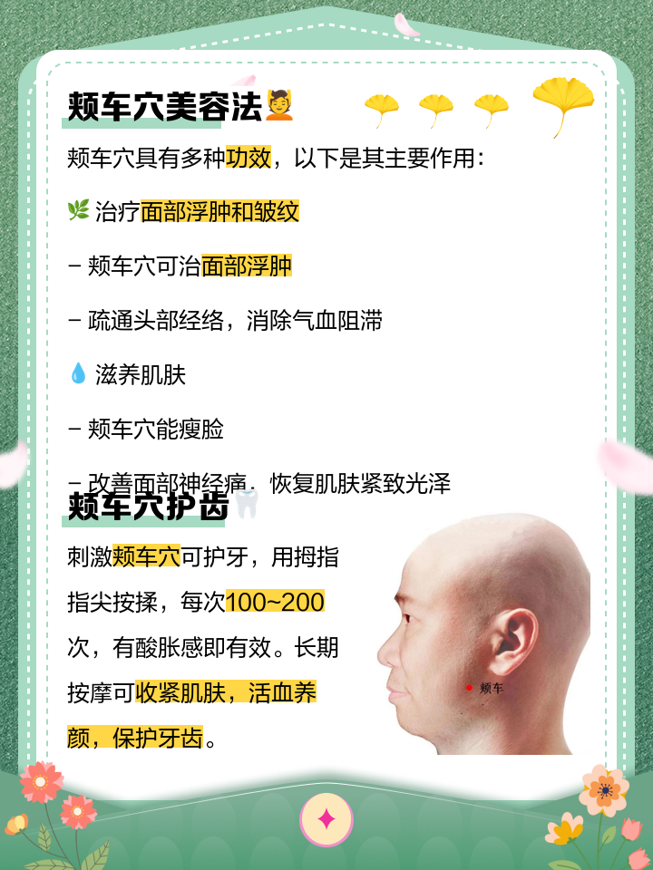 颊车的准确位置图(颊车的准确位置图作用功效) 颊车的准确位置图(颊车的准确位置图作用功效)