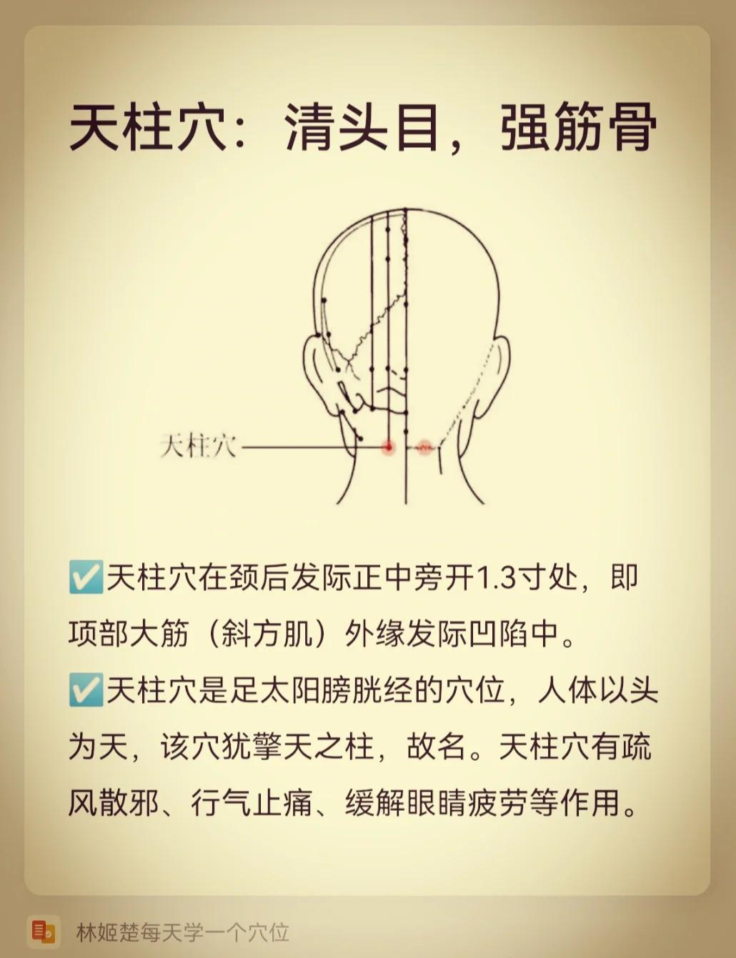 前顶的准确位置图和作用(前顶的准确位置图和作用的准确位置图片)