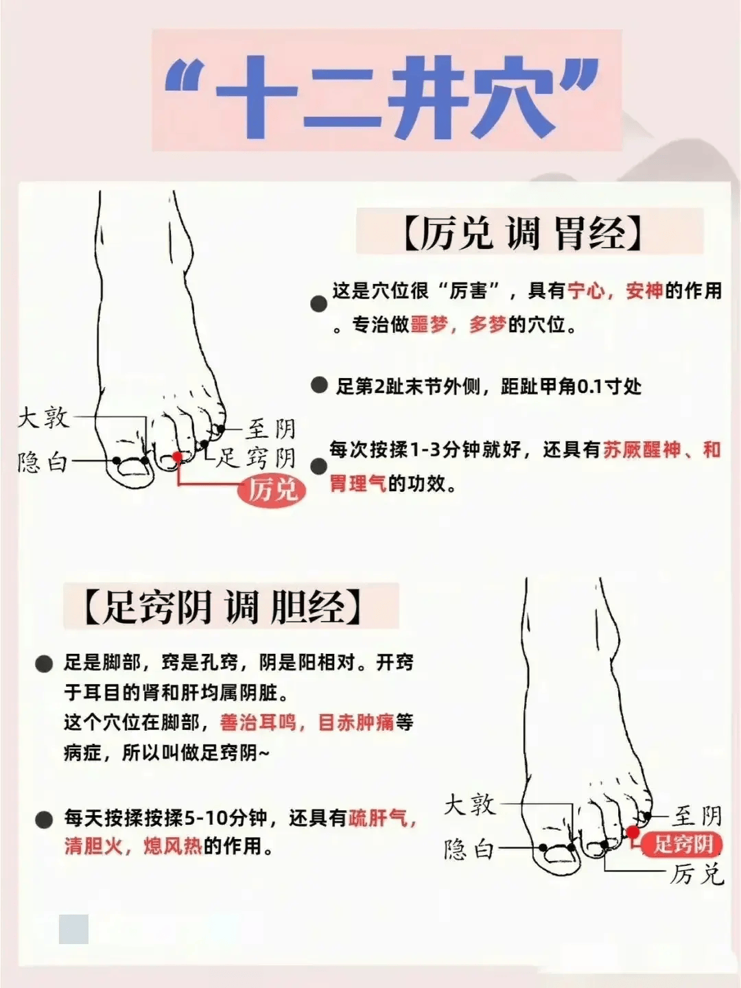 前顶的准确位置图和作用(前顶的准确位置图和作用的准确位置图片)