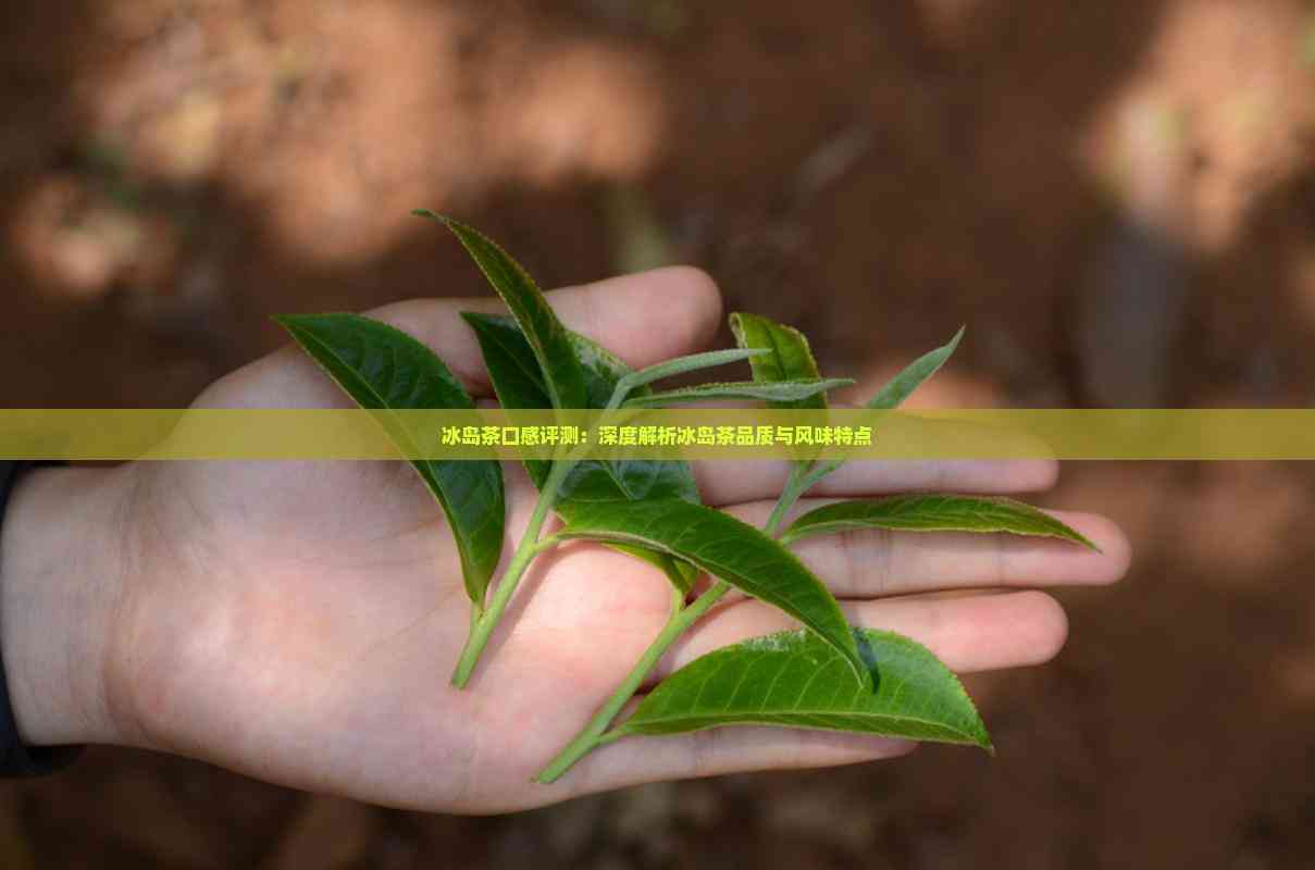 冰岛茶的口感特点(冰岛茶的口感特点视频) 冰岛茶的口感特点(冰岛茶的口感特点视频)