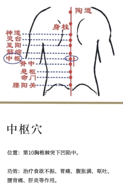 关元俞(关元俞位置图和作用)
