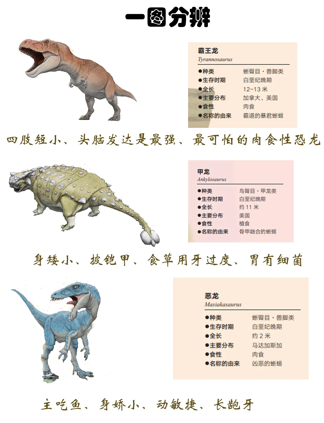 恐龙介绍及图片(恐龙简介图谱大全集)