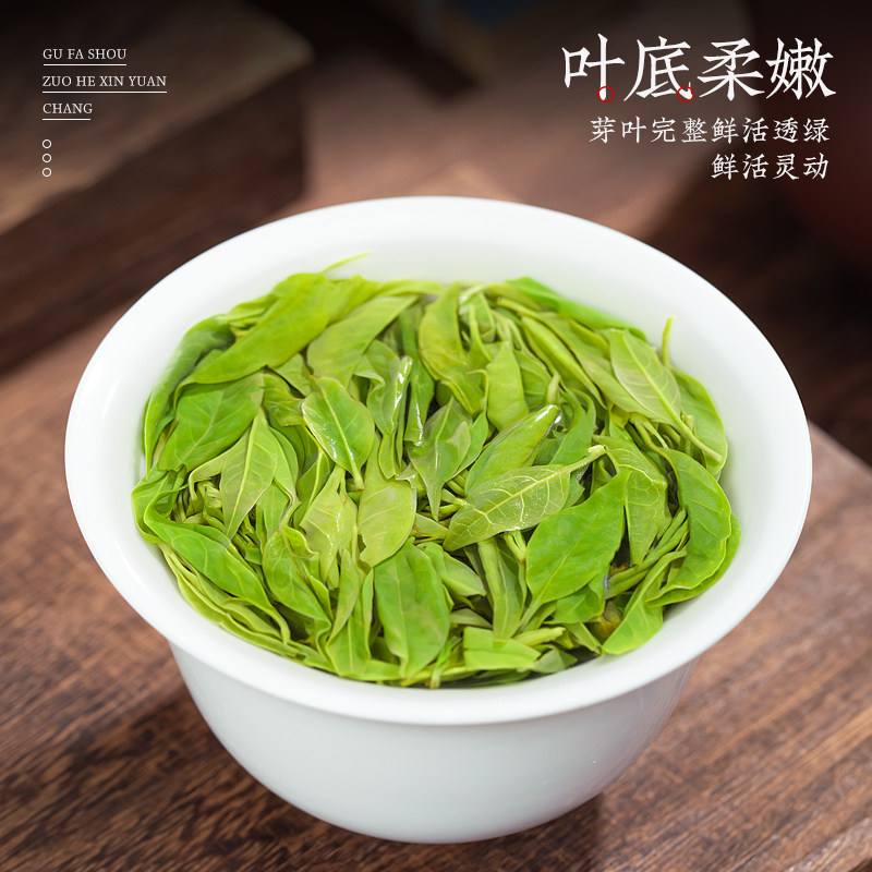苦丁茶哪里出产的最好(苦丁茶哪里出产的最好喝)