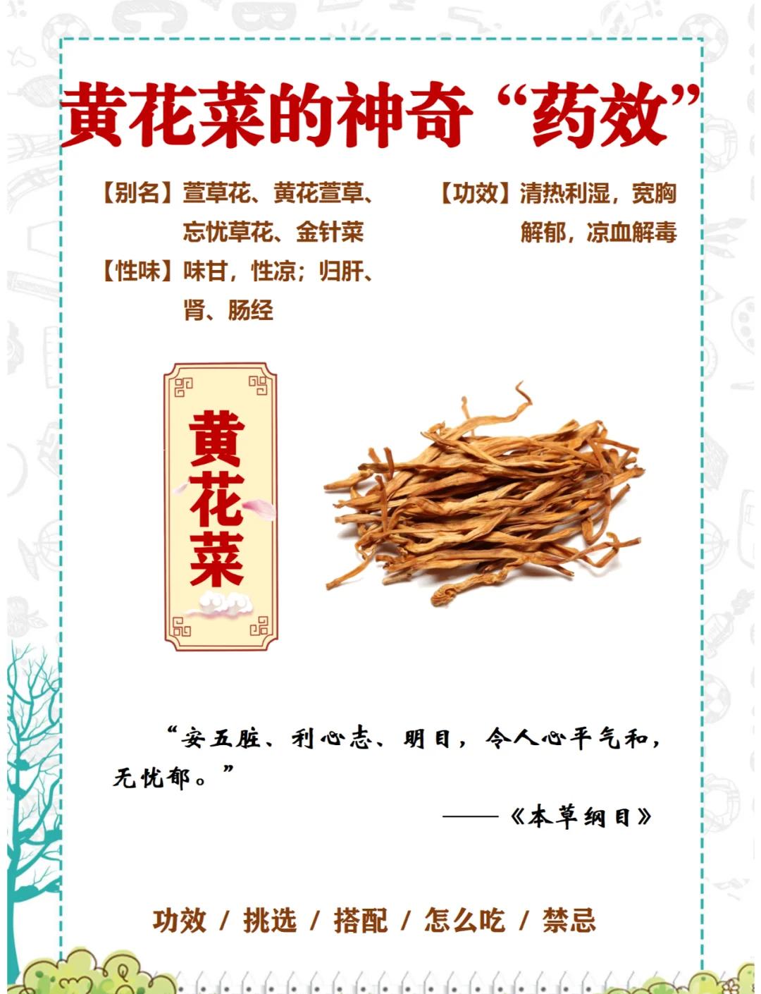 黄花列当的功效与作用(黄花列当市场价是多少钱一斤)