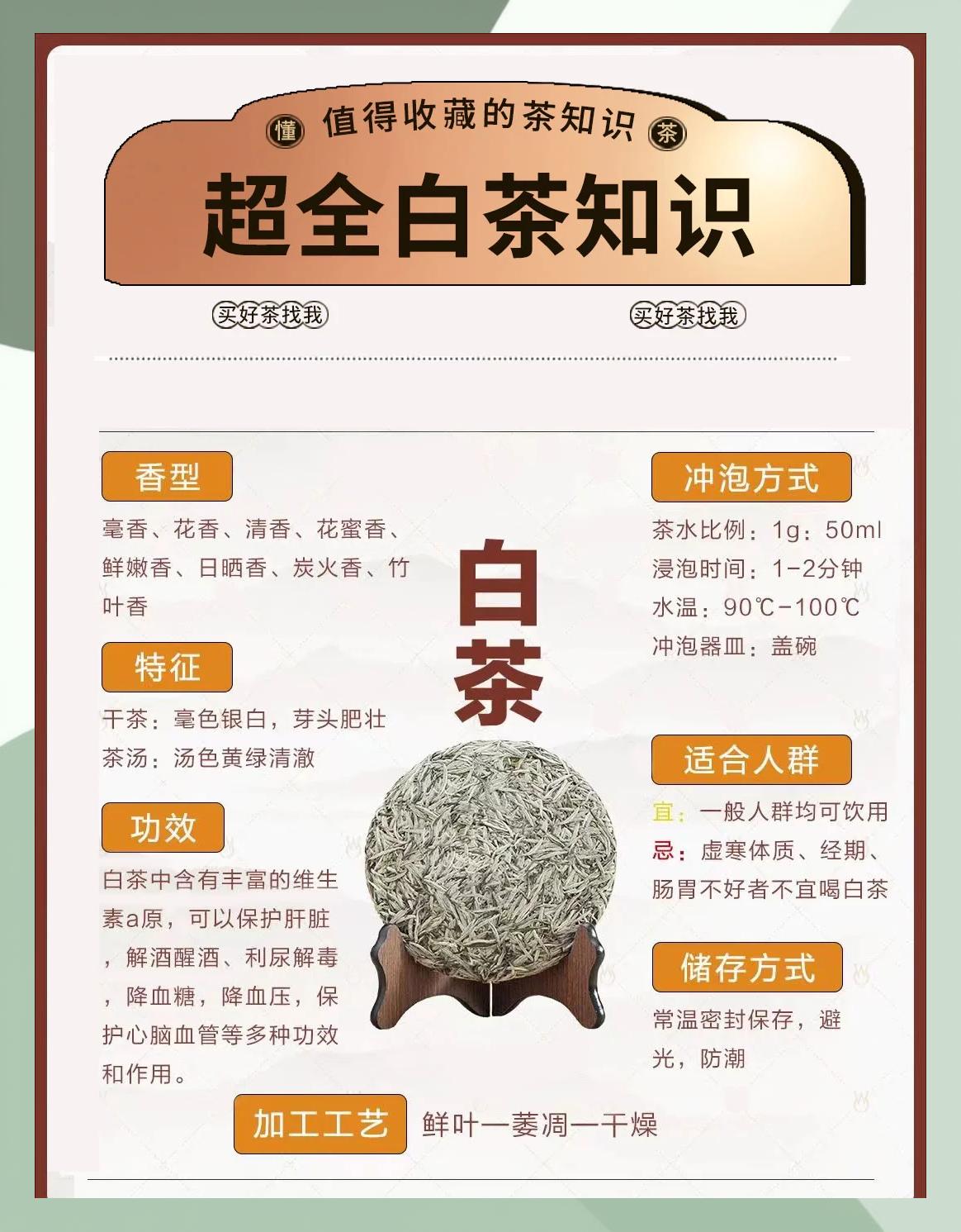安吉白茶的特点和功效(白茶和老白茶有什么区别)
