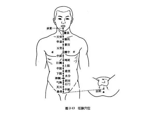 太冲脉(太冲脉是什么脉)